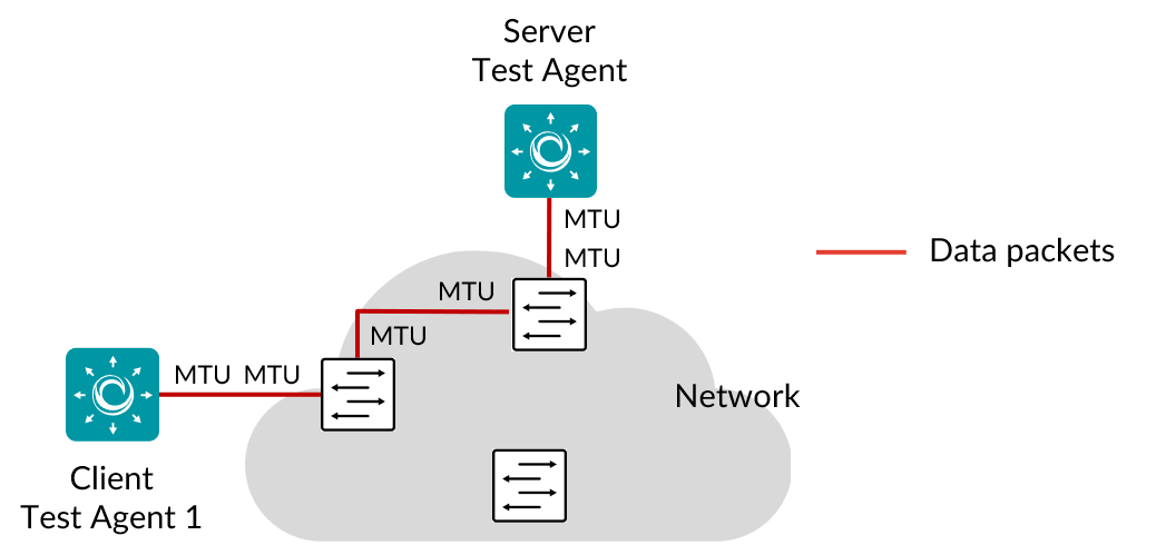 ../../_images/trsp-path-mtu.png